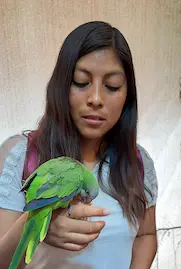 Abi
