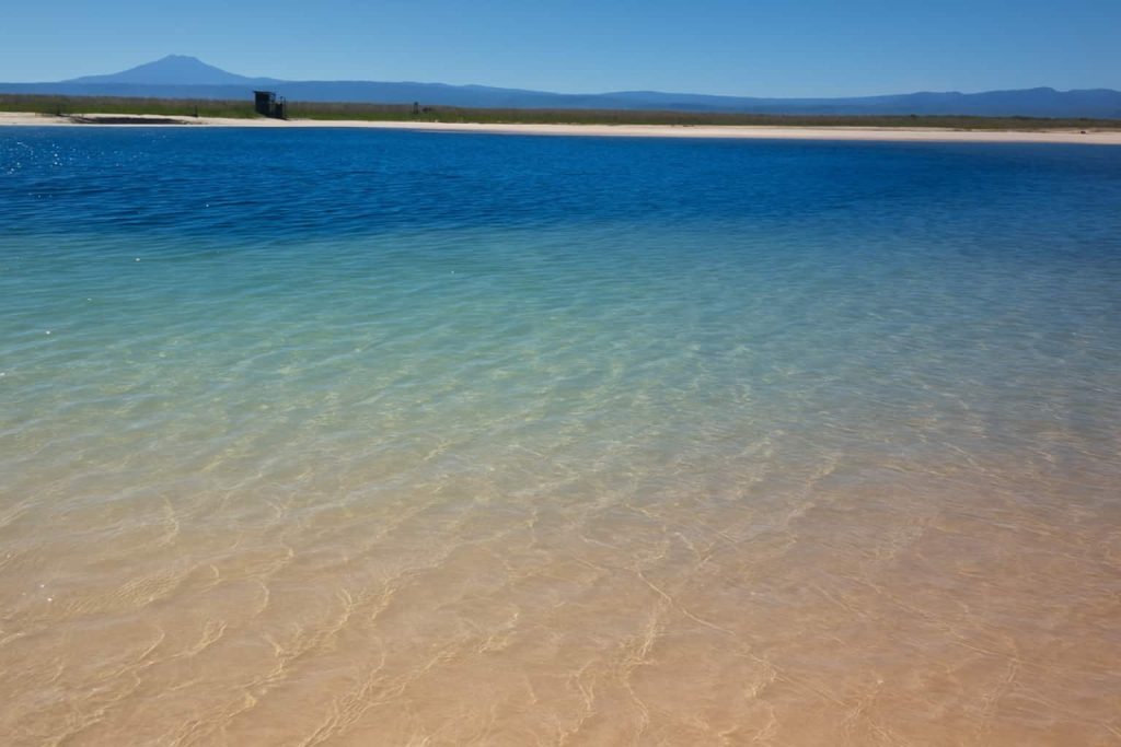 Laguna Cejar