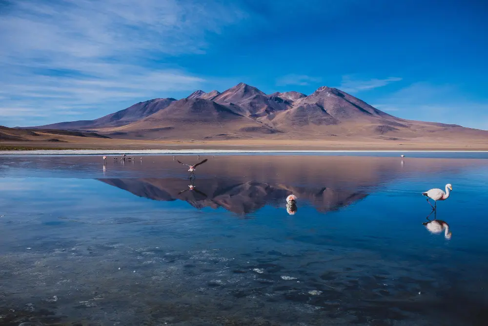 Atacama Desert