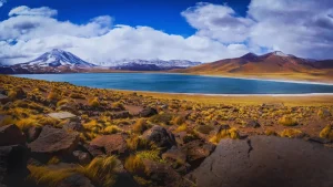 Lagoas
