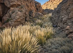 Canyon