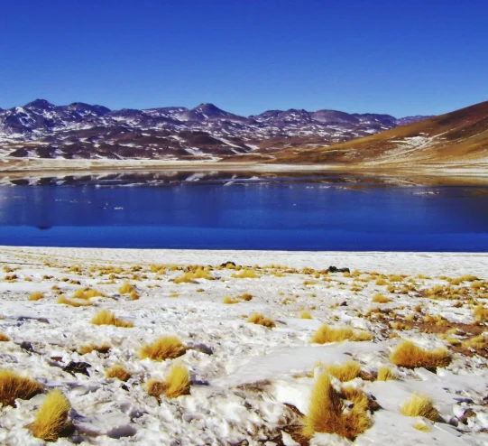 Desert, Altitude, Andes